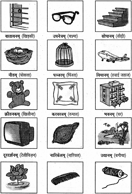 NCERT Solutions for Class 6 Sanskrit Chapter 3 शब्द परिचयः 3 2