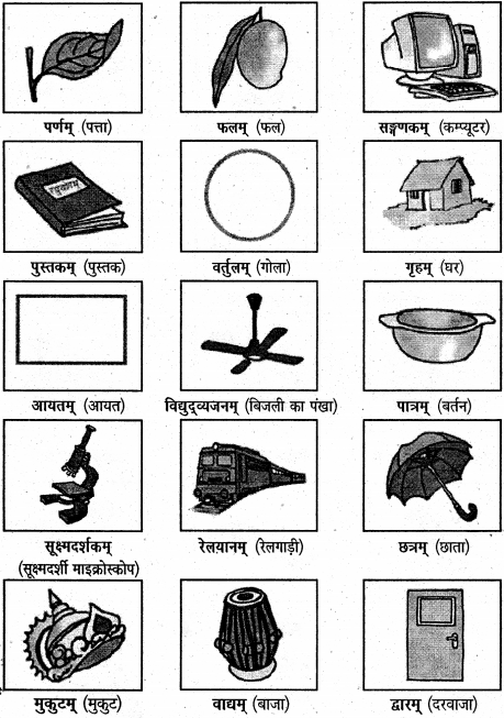 NCERT Solutions for Class 6 Sanskrit Chapter 3 शब्द परिचयः 3 1