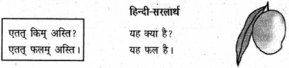 NCERT Solutions for Class 6 Sanskrit Chapter 3 शब्द परिचयः 3 3