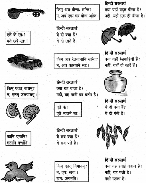NCERT Solutions for Class 6 Sanskrit Chapter 3 शब्द परिचयः 3 5