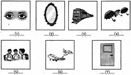 NCERT Solutions for Class 6 Sanskrit Chapter 3 शब्द परिचयः 3 6