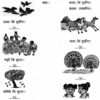 NCERT Solutions for Class 6 Sanskrit Chapter 3 शब्द परिचयः 3 7