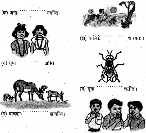 NCERT Solutions for Class 6 Sanskrit Chapter 5 वृक्षाः 1