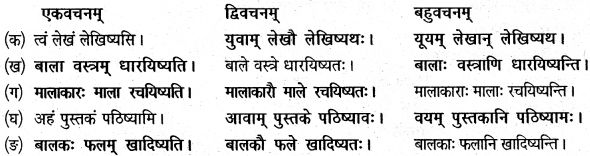 NCERT Solutions for Class 6 Sanskrit Chapter 5 वृक्षाः 6