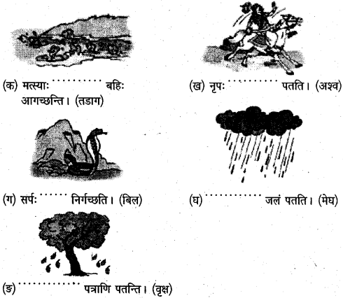 NCERT Solutions for Class 6 Sanskrit Chapter 8 सूक्तिस्तबकः 2