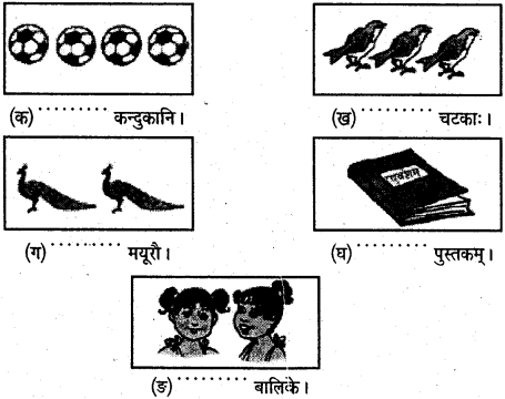 NCERT Solutions for Class 6 Sanskrit Chapter 9 क्रीडास्पर्धा 1