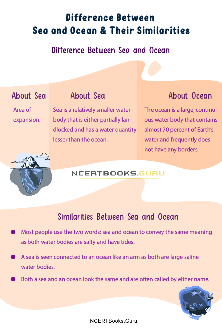 Difference Between Sea and Ocean 2