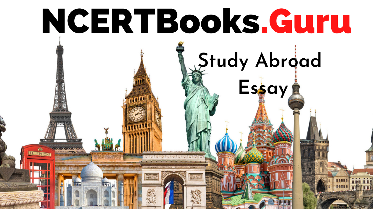 Study Abroad Essay