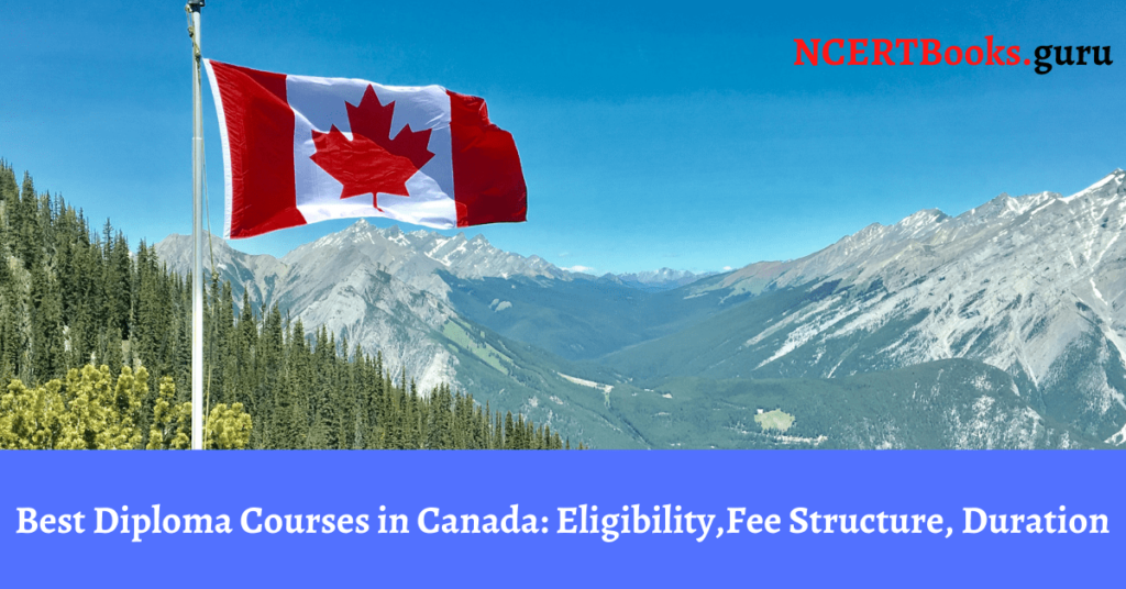 Best Diploma Courses in Canada