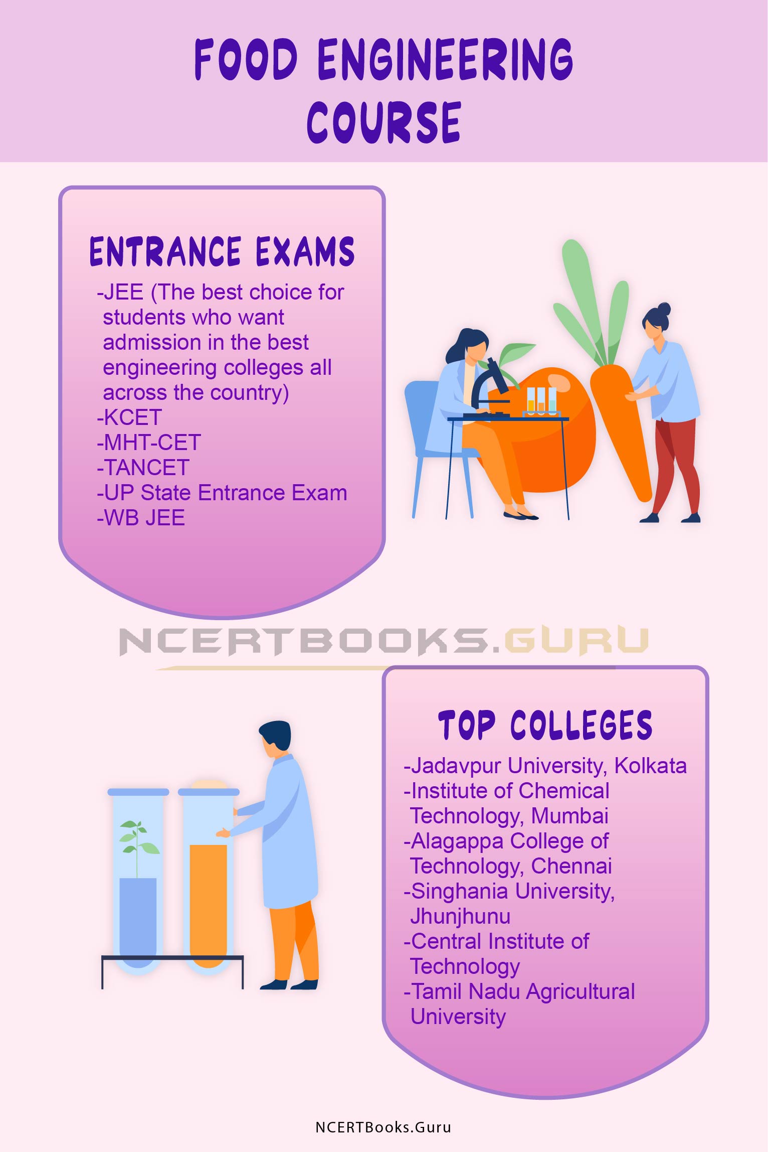 Food Engineering Course Details