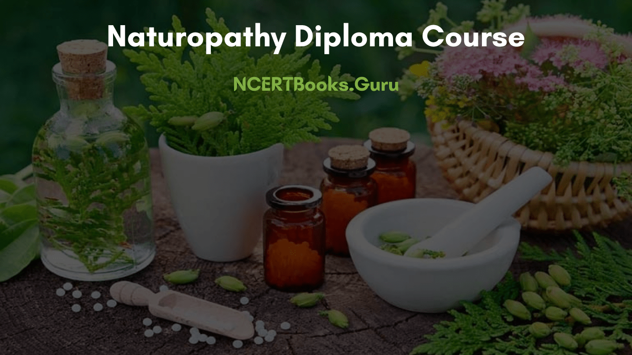 Naturopathy Diploma Course