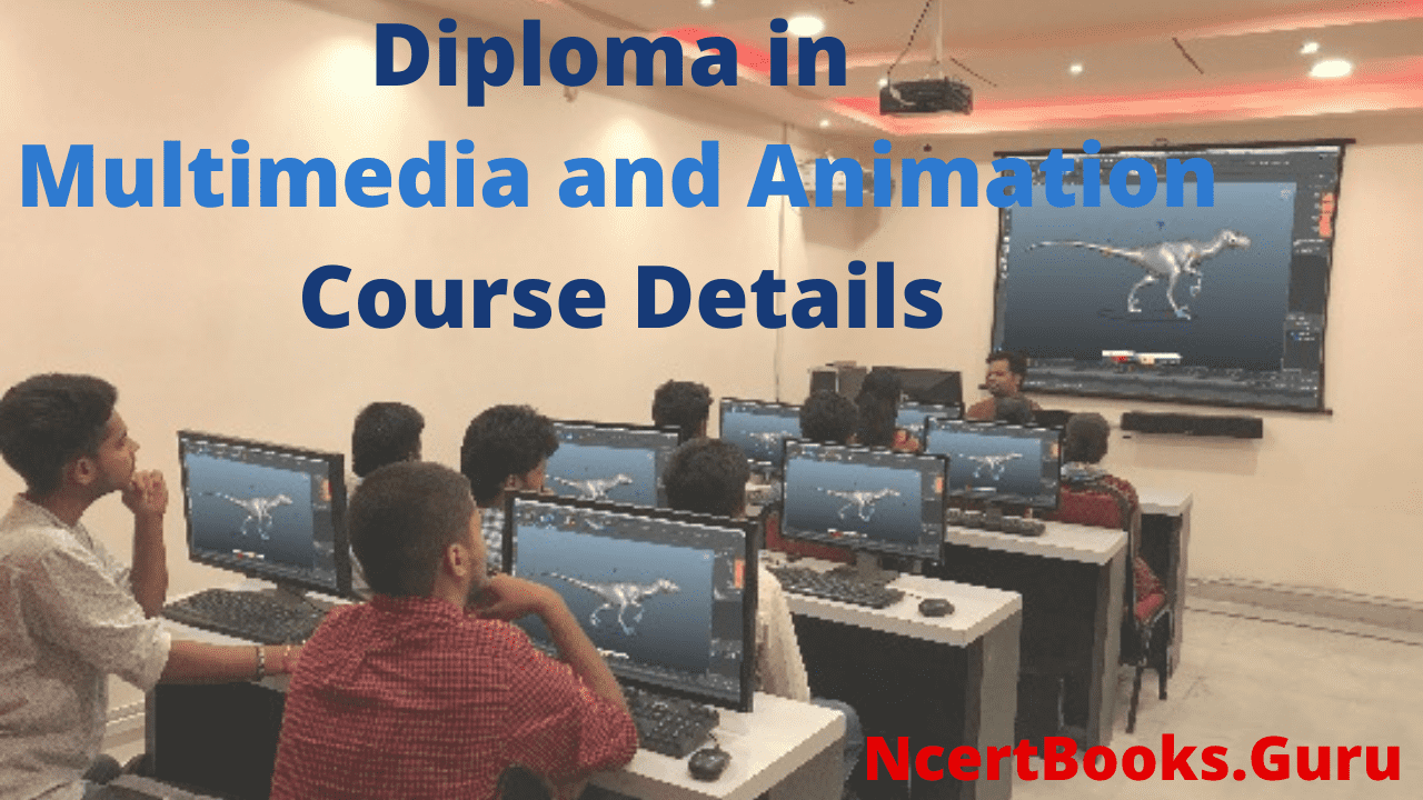 Diploma in Multimedia and Animation Course