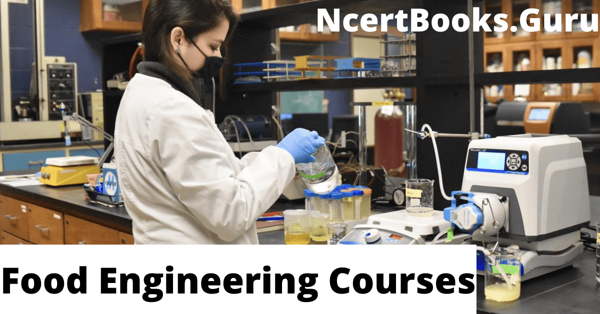 Food Engineering Courses