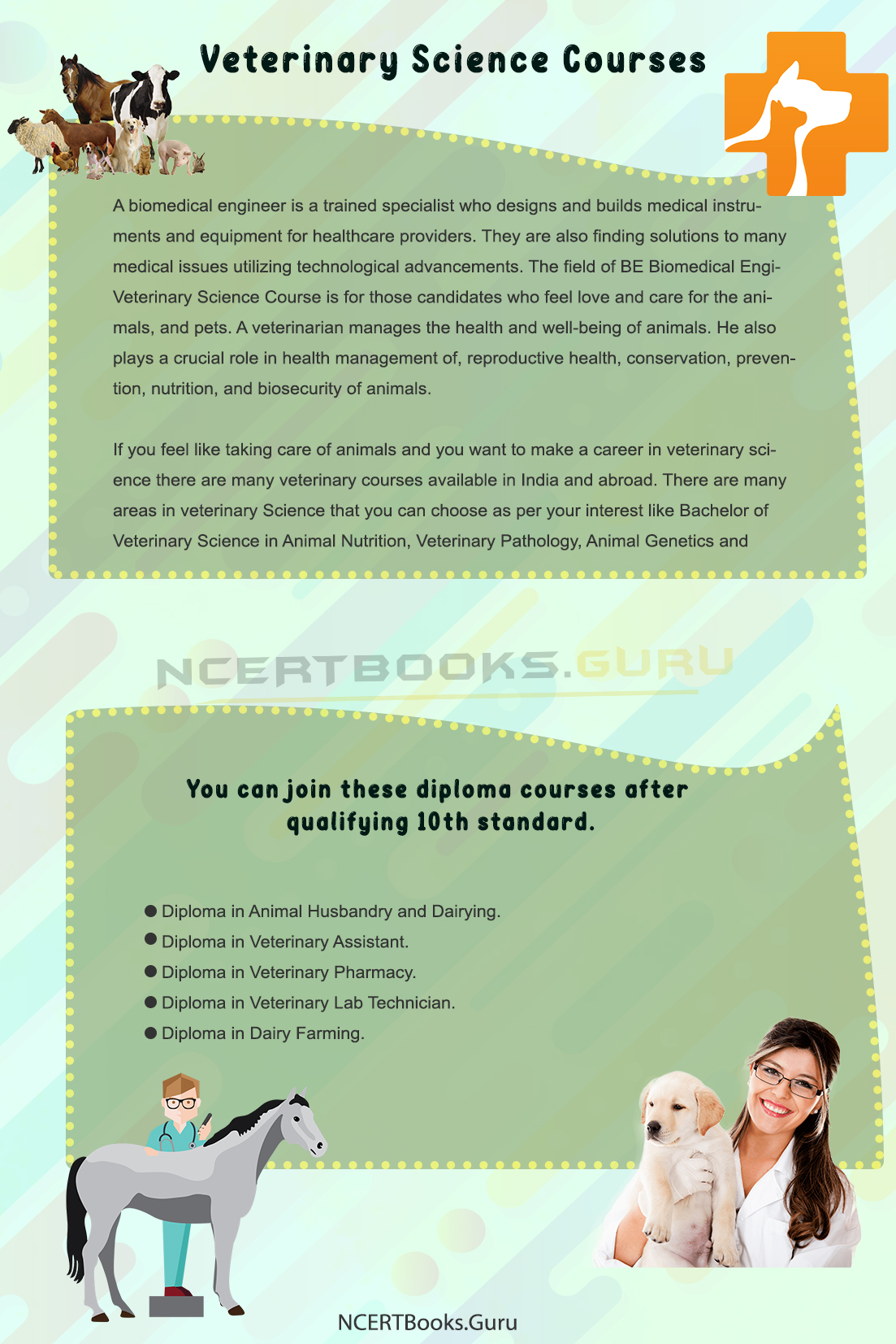 Veterinary Science Courses | Eligibility, Syllabus, Salary, Course Fees.