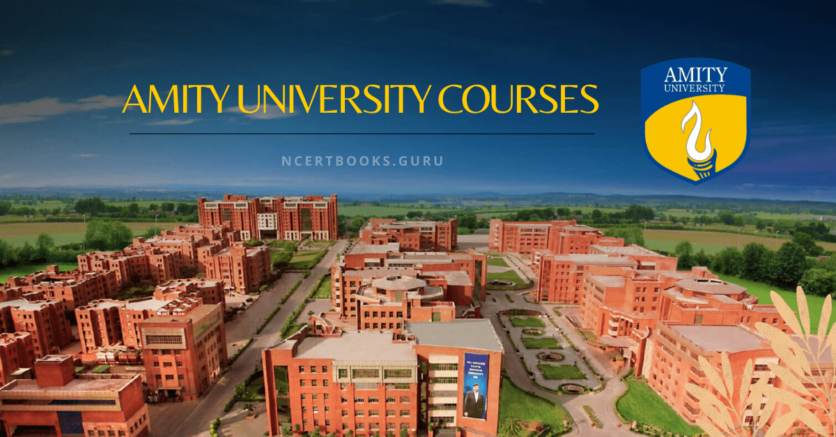 Amity University Courses
