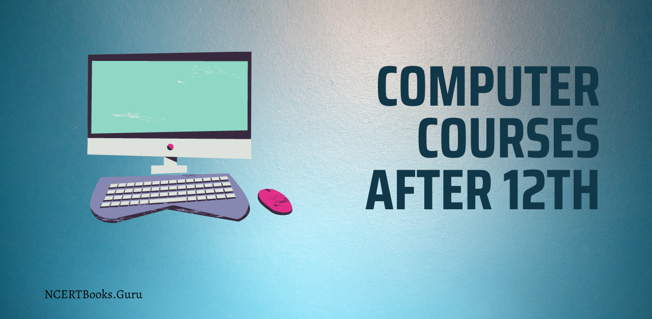 Computer Courses After 12th