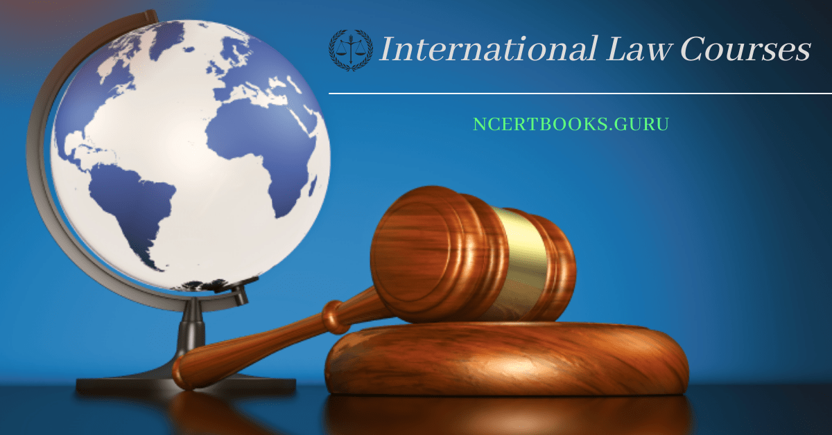 International Law Courses
