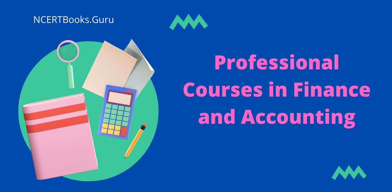 Professional Courses in Finance and Accounting