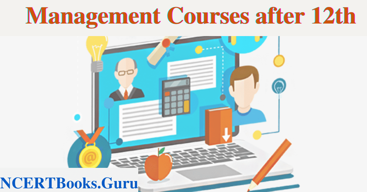 Management Courses after 12th